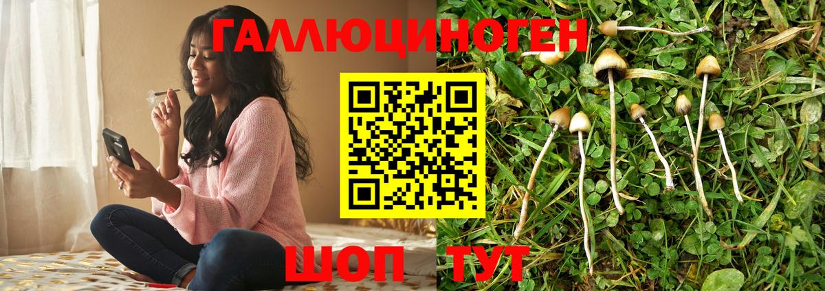 Галлюциногенные грибы Psilocybe  Вход с VPN  Лосино-Петровский 