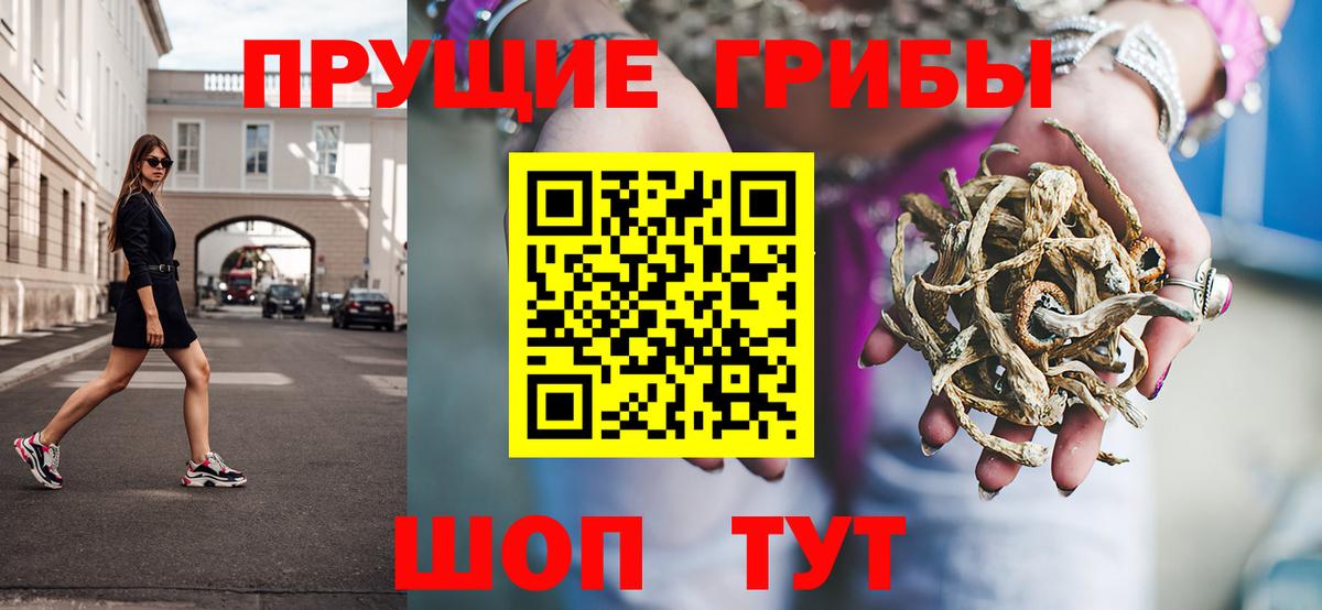 Галлюциногенные грибы прущие грибы Лосино-Петровский